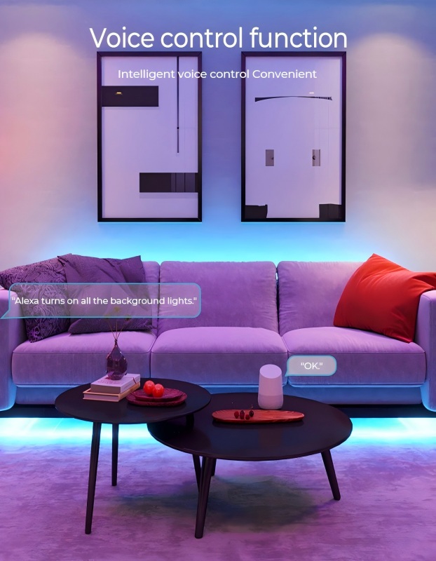 DC5V语音控制SPI LED控制器