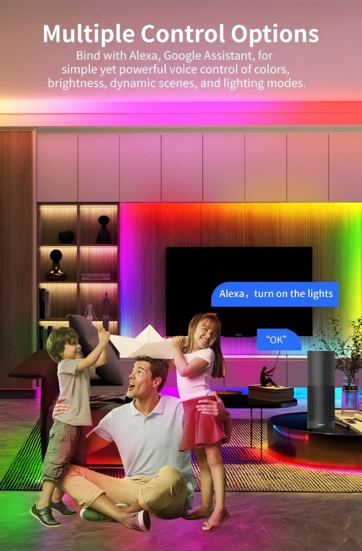 UFO RGBIC LED灯带控制器